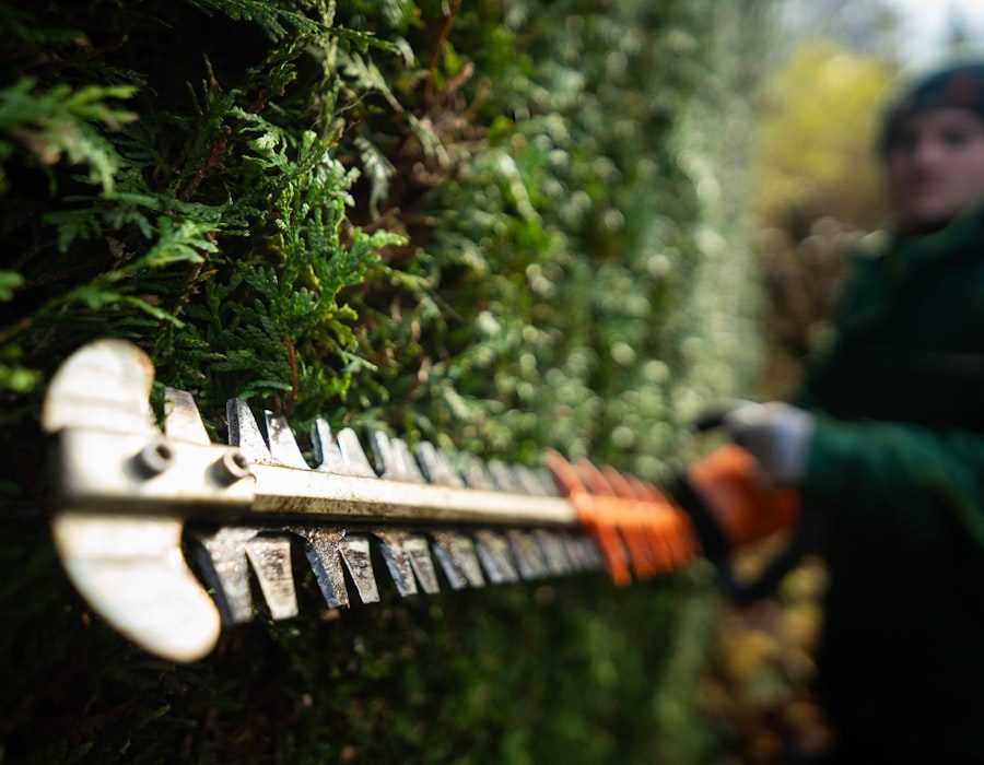 Lawn care & maintenance
