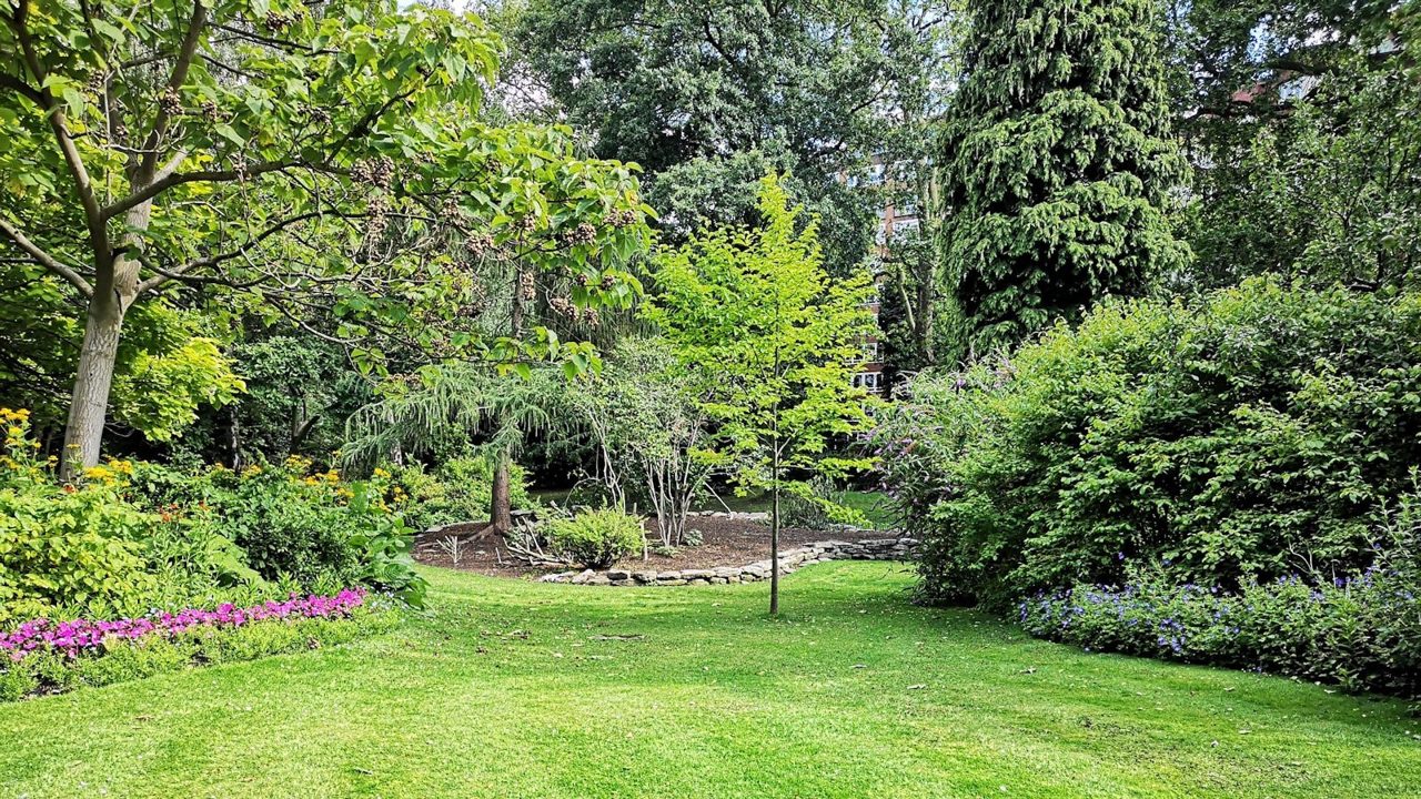 A beautifully landscaped garden