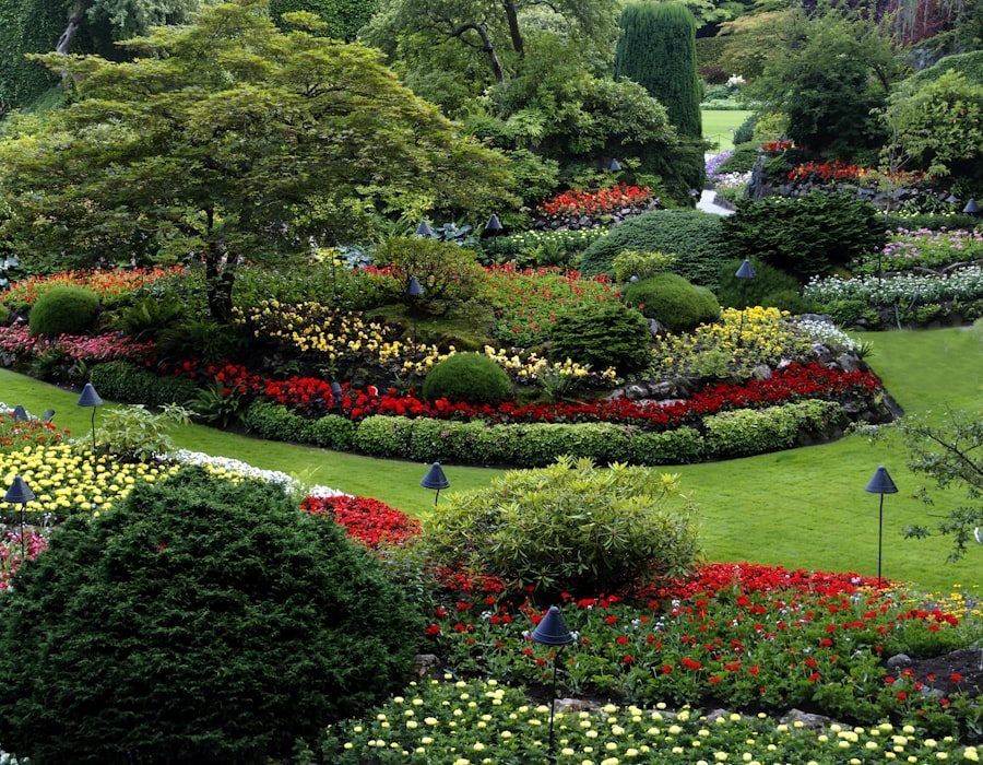 Planting & borders
